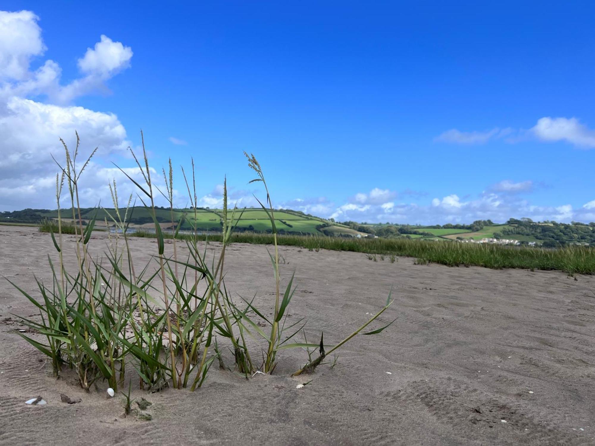 Luxury 2-Bed Barn Conversion In Llansteffan Carmarthen Exterior foto